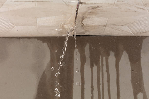 Professional Water Extraction technician working in Scotch Plains, NJ